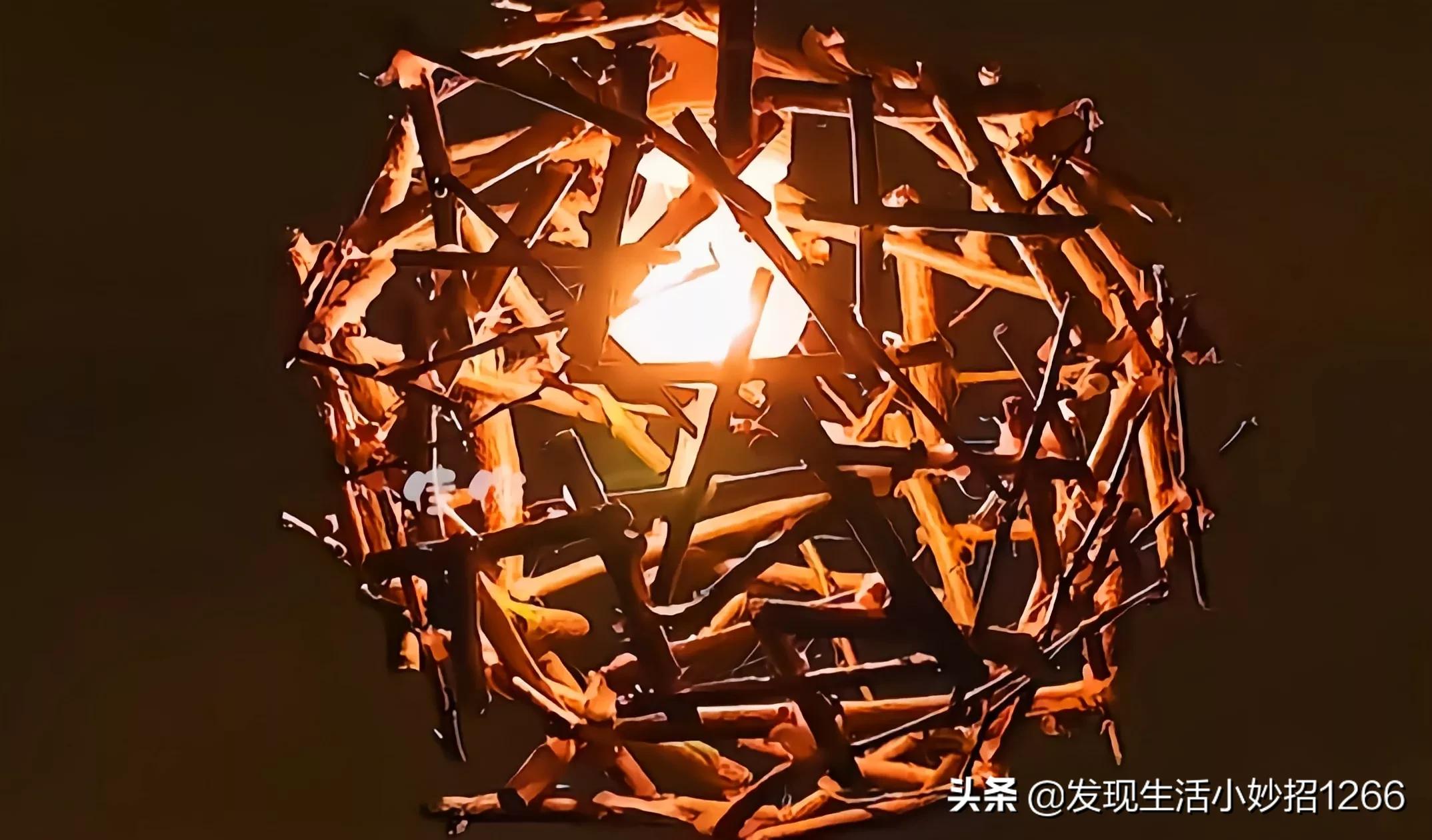 分享15个生活小妙招，把烟盒这样操作，香烟保质期至少提高一倍插图9