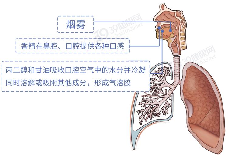 又一个骗局：电子烟的危害，真的比传统烟草大？造谣式科普不可取插图9