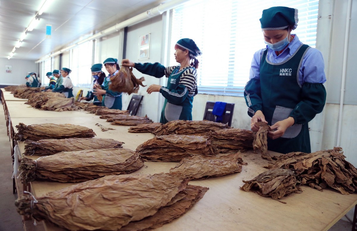 真假难辨，比真烟还好抽？云霄县造了20年假烟，席卷百亿美国市场插图10