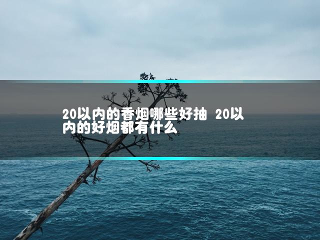 文章第一张图片