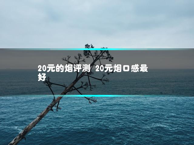 文章第一张图片