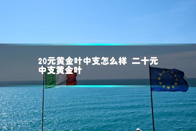 20元黄金叶中支怎么样 二十元中支黄金叶插图