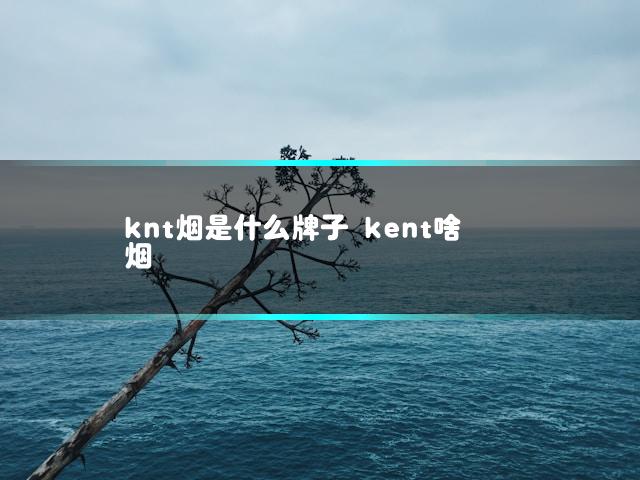 文章第一张图片