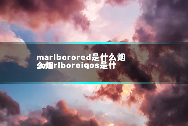 文章第一张图片