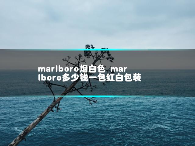 文章第一张图片