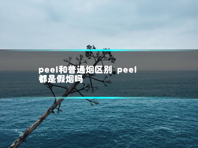 文章第一张图片