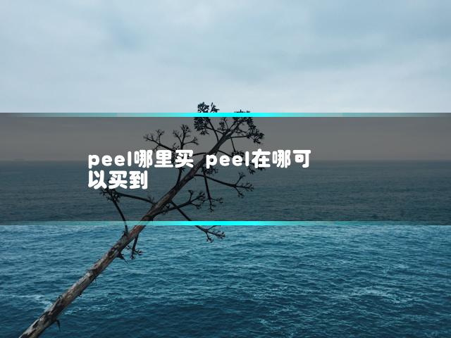 文章第一张图片