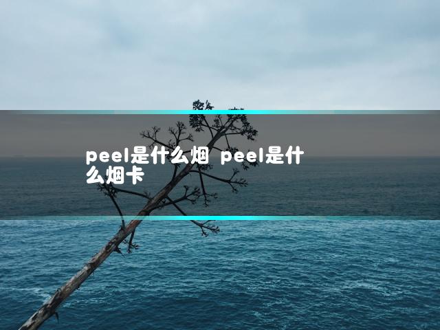 文章第一张图片