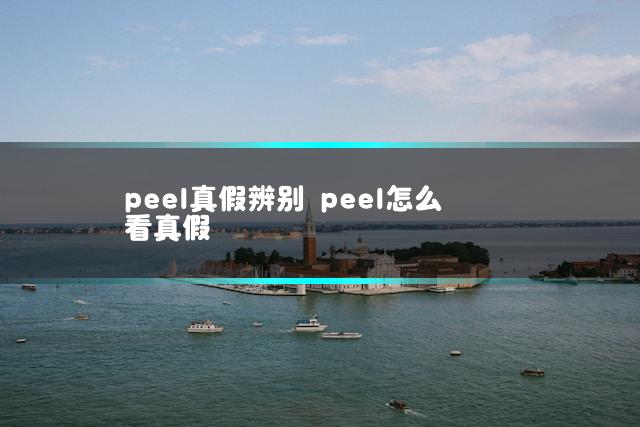 文章第一张图片