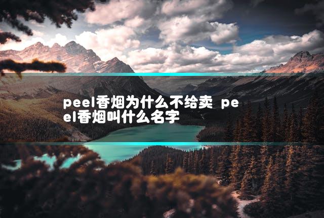 文章第一张图片