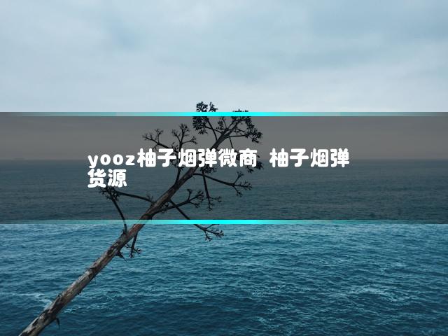 文章第一张图片