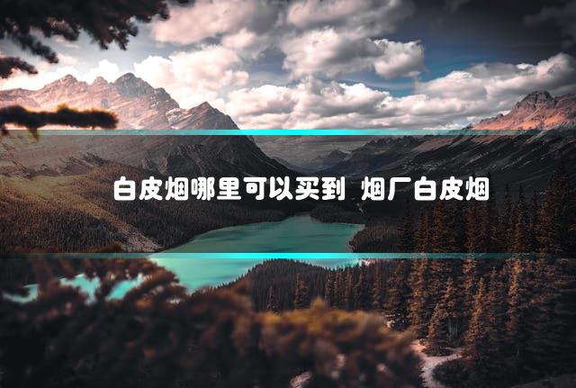 文章第一张图片